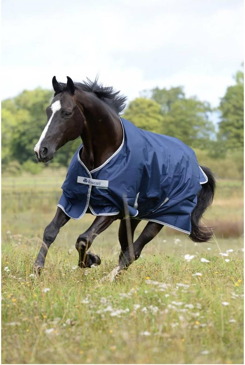 Freedom Turnout Rug - Navy/Silver