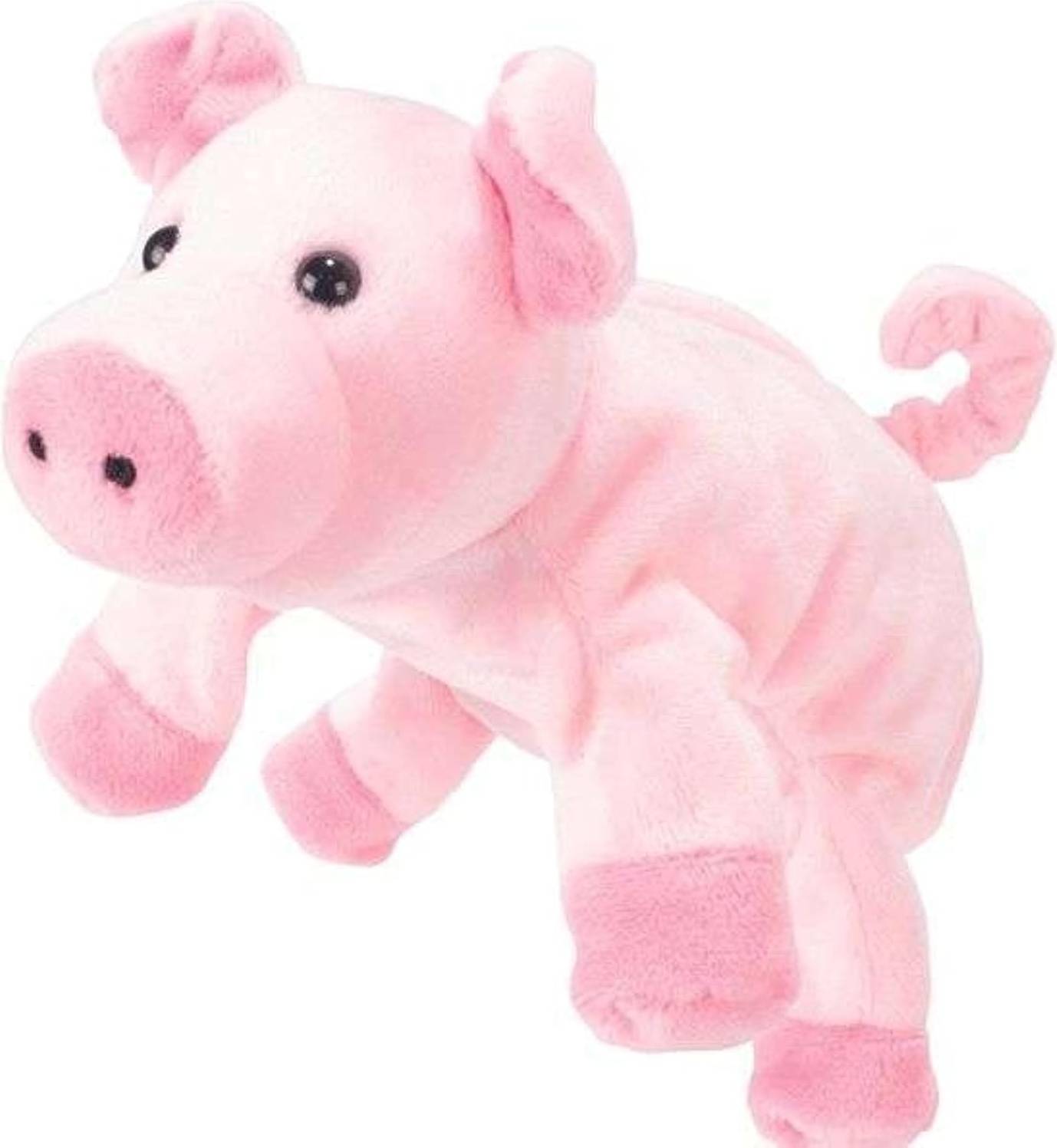 Pig