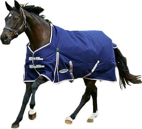Weatherbeeta ComFiTec Essential Standard Neck Turnout Rug - Navy/Silver/Red