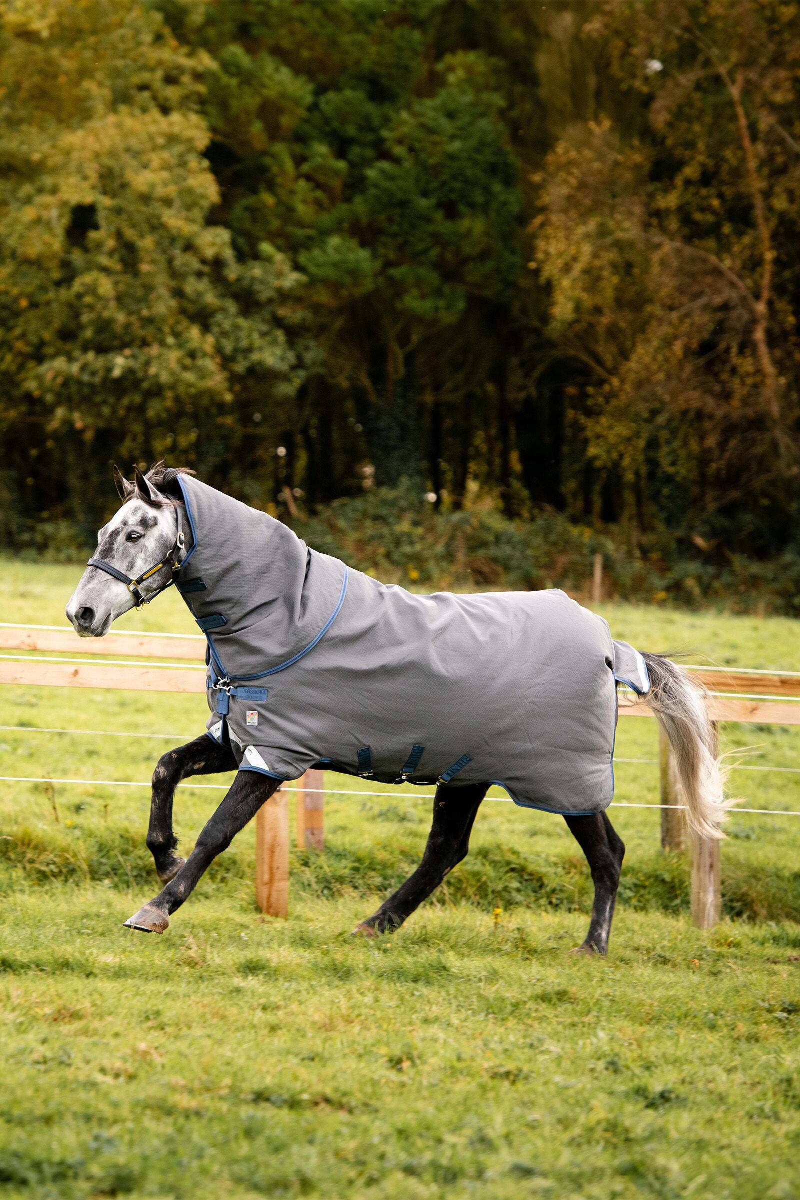 Rhino Hexstop Plus Vari-Layer Turnout Rug, 250g