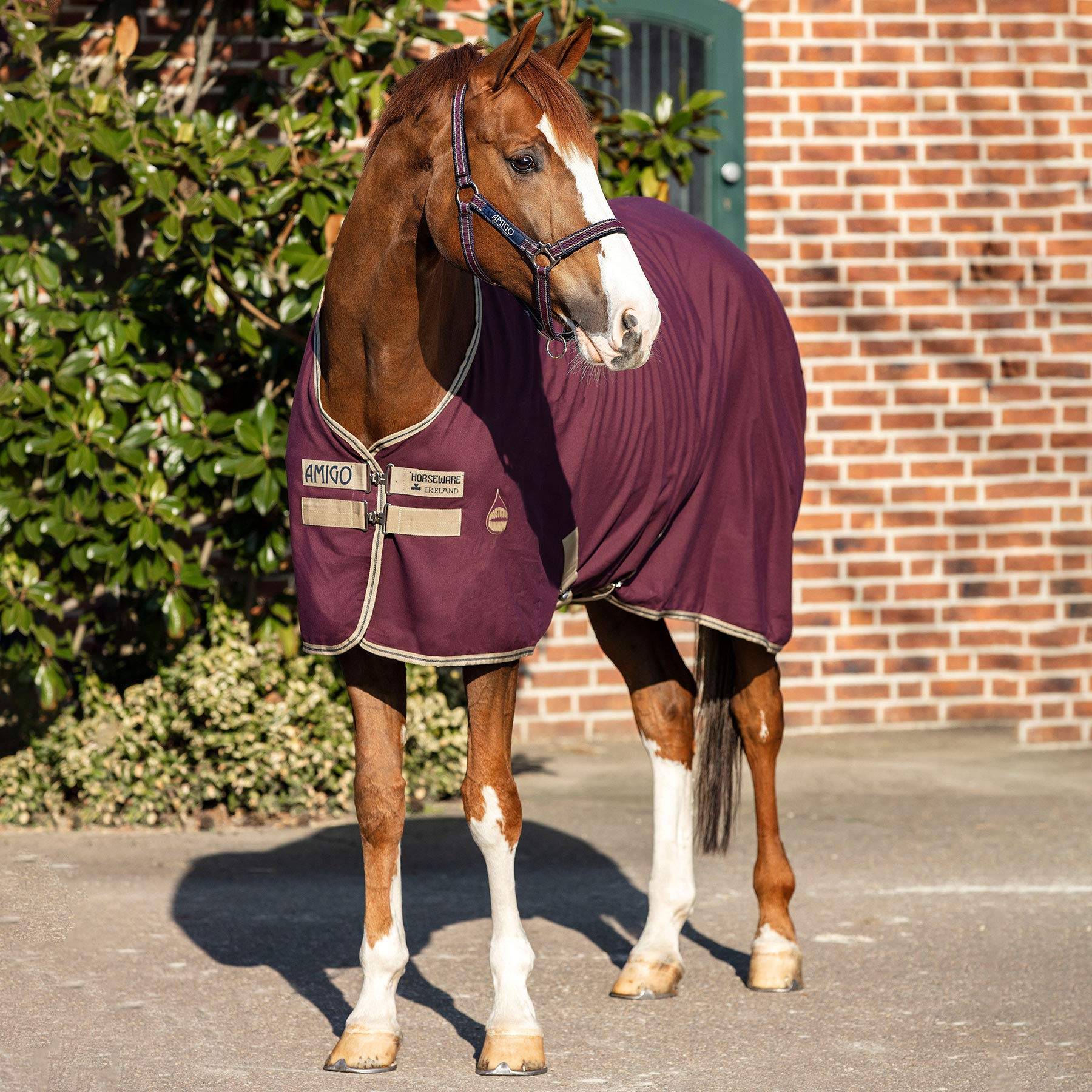 Stable Sheet