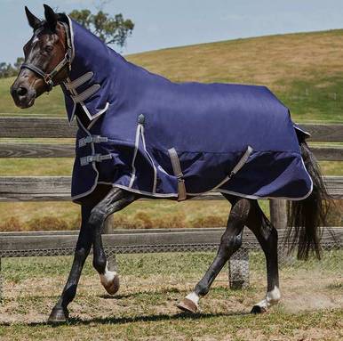Weatherbeeta Comfitec Essential Plus Combo Neck Turnout Rug 5'6