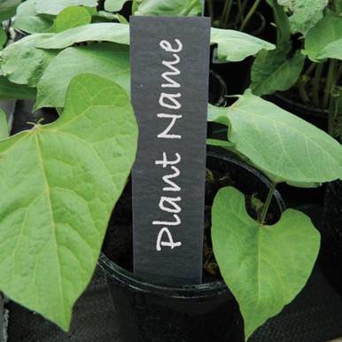 13cm Slate Plant Labels