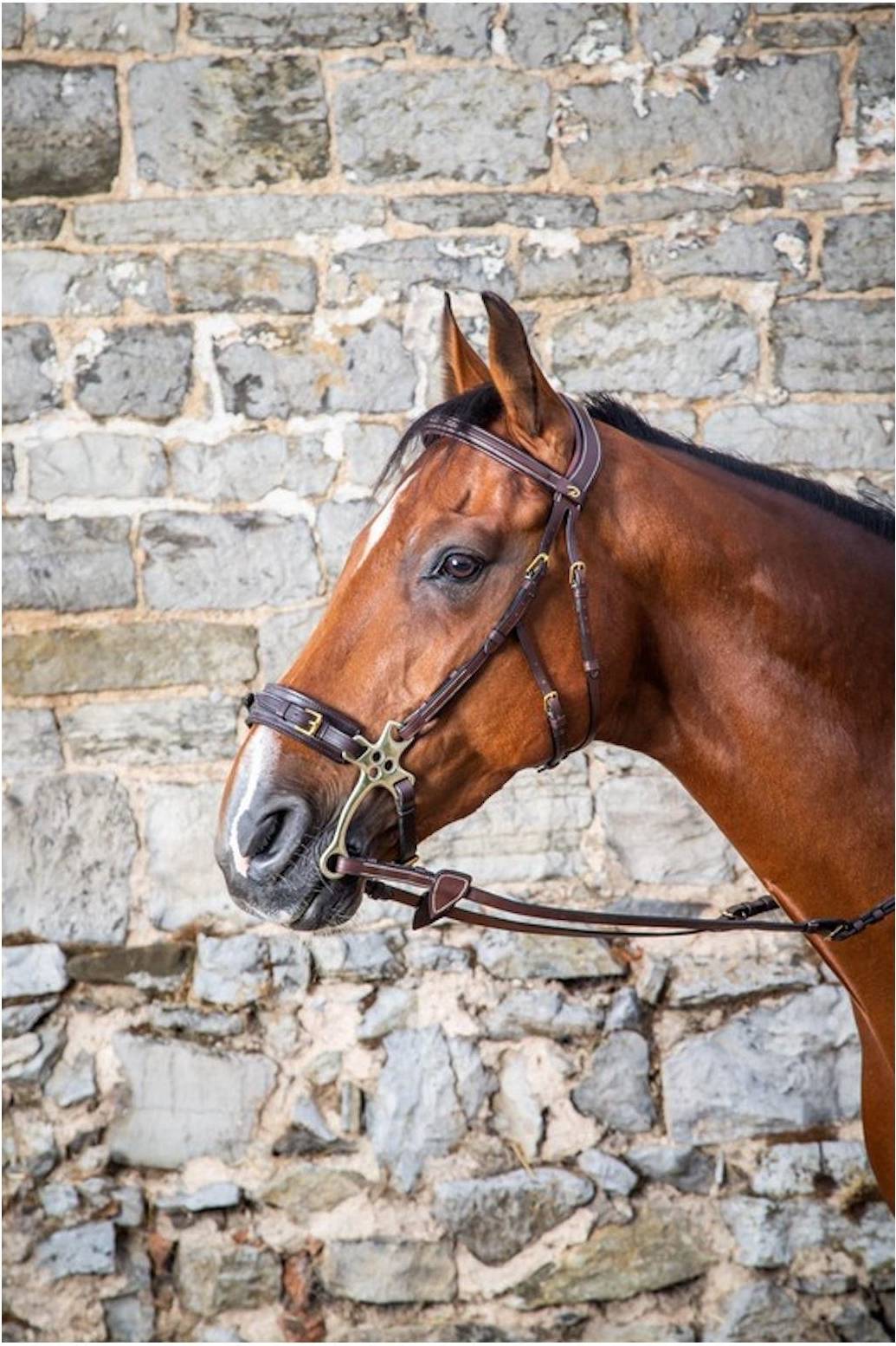Hackamore Trense D Collection