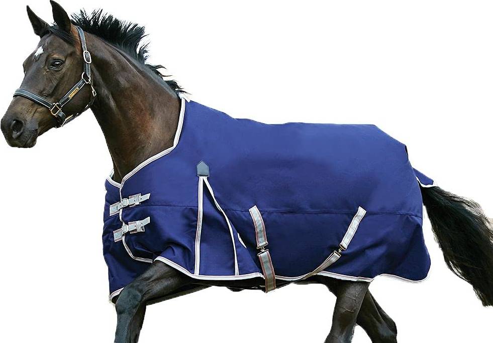 Weatherbeeta Comfitec Essential Standard Turnout Rug - Navy Silver/Red