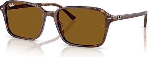 Ray-Ban Raimond - RB2231