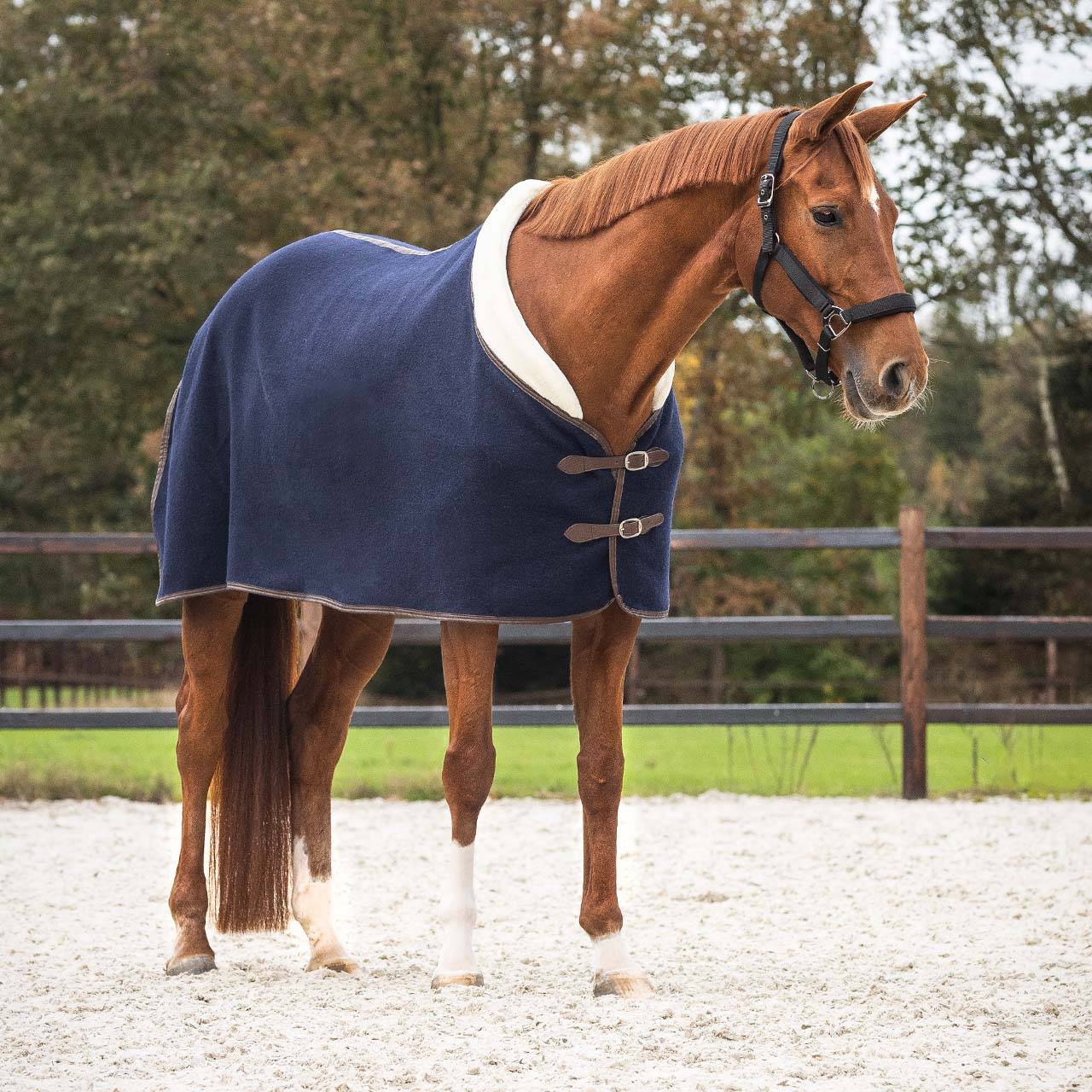 QHP Deluxe Wool Rug - Navy