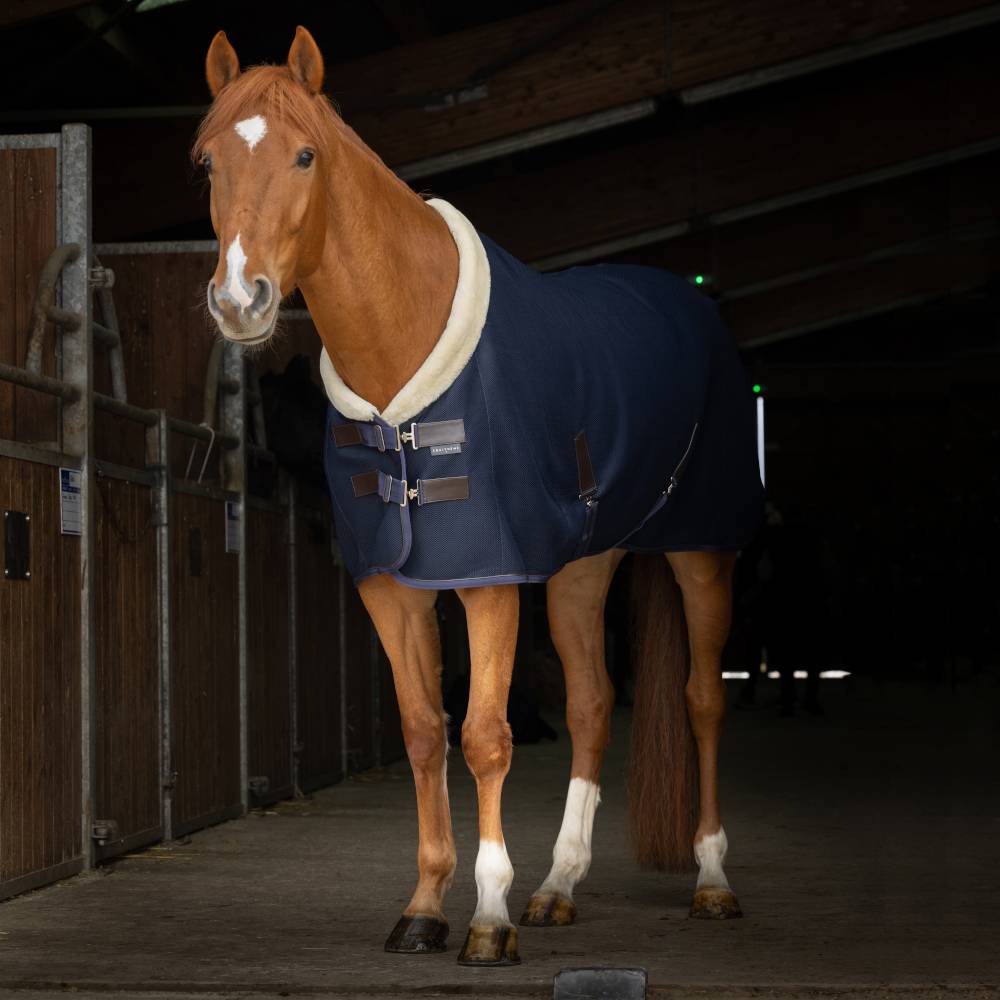 EquiThème Rug Teddy - Bleu