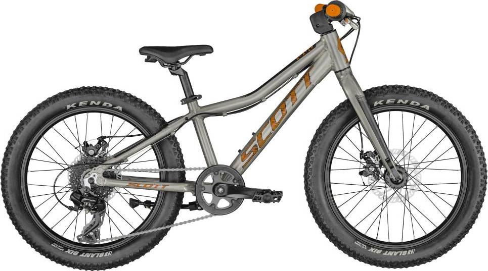 Scott Roxter 20 Inch Kids Bike