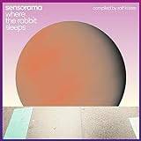 Sensorama Where The Rabbit Sleeps (CD)