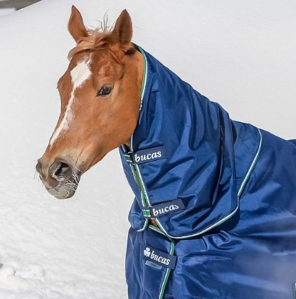 Bucas Waterproof Neck Rug Smartex - Bleu