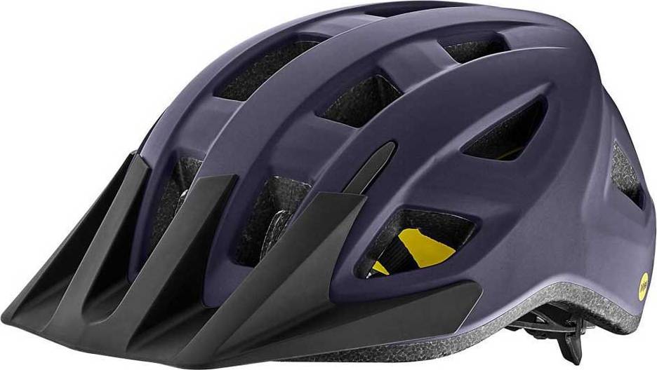 Path Mips Mtb Helmet - Blue