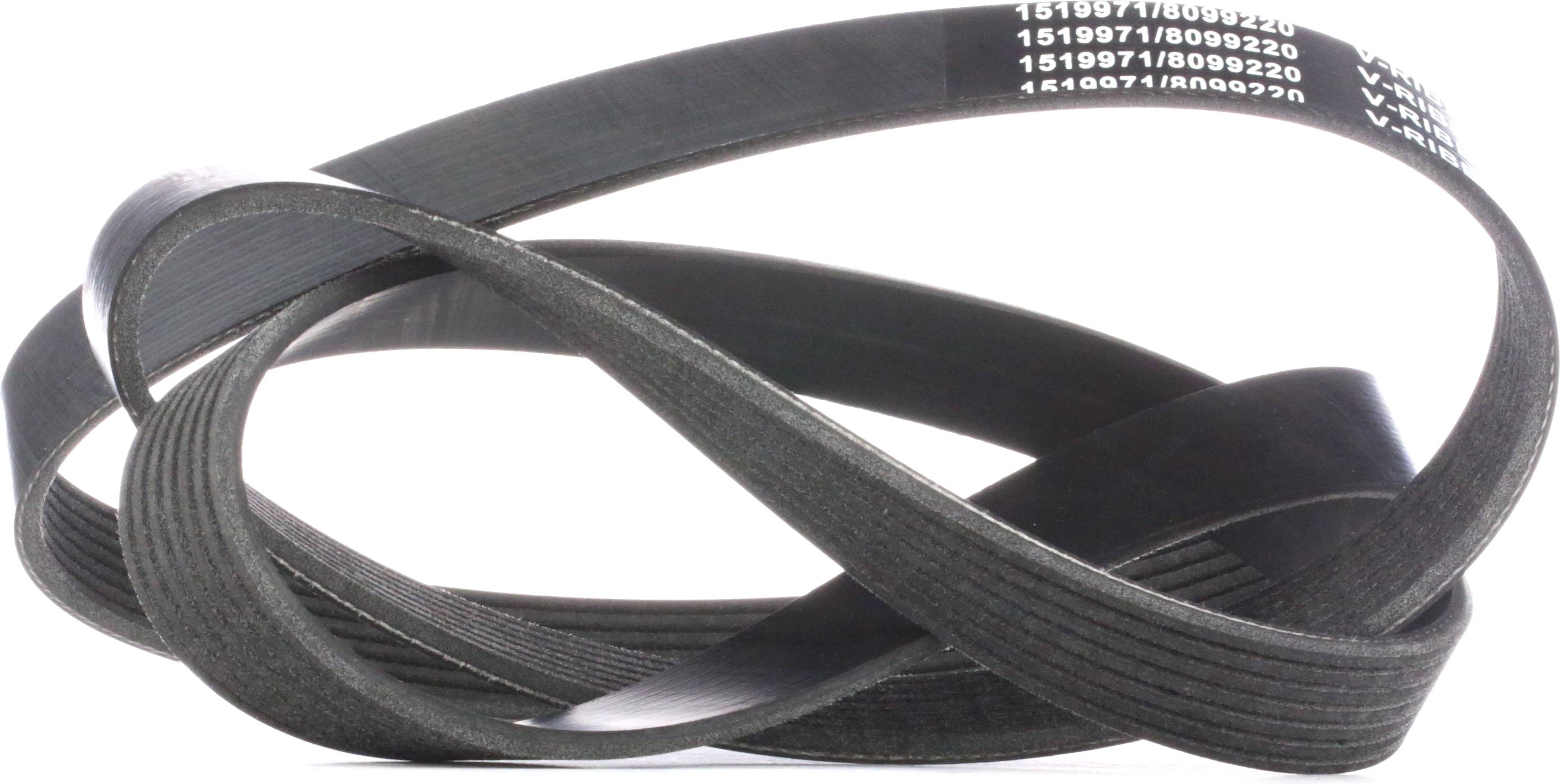 Ridex 305P0205 V-Ribbed Belt