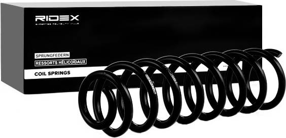 Ridex Coil Spring Rear Axle