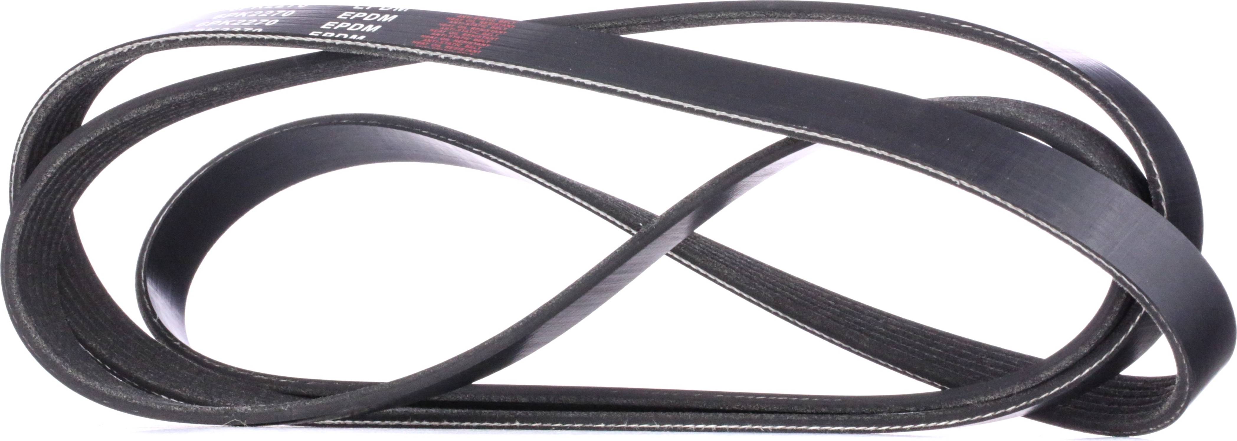 Ridex 305P0101 V-Ribbed Belt