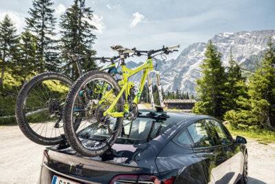 Treefrog Treefrog Pro Plus Bike Carrier Rack Vacuum Mounted Quick Release One