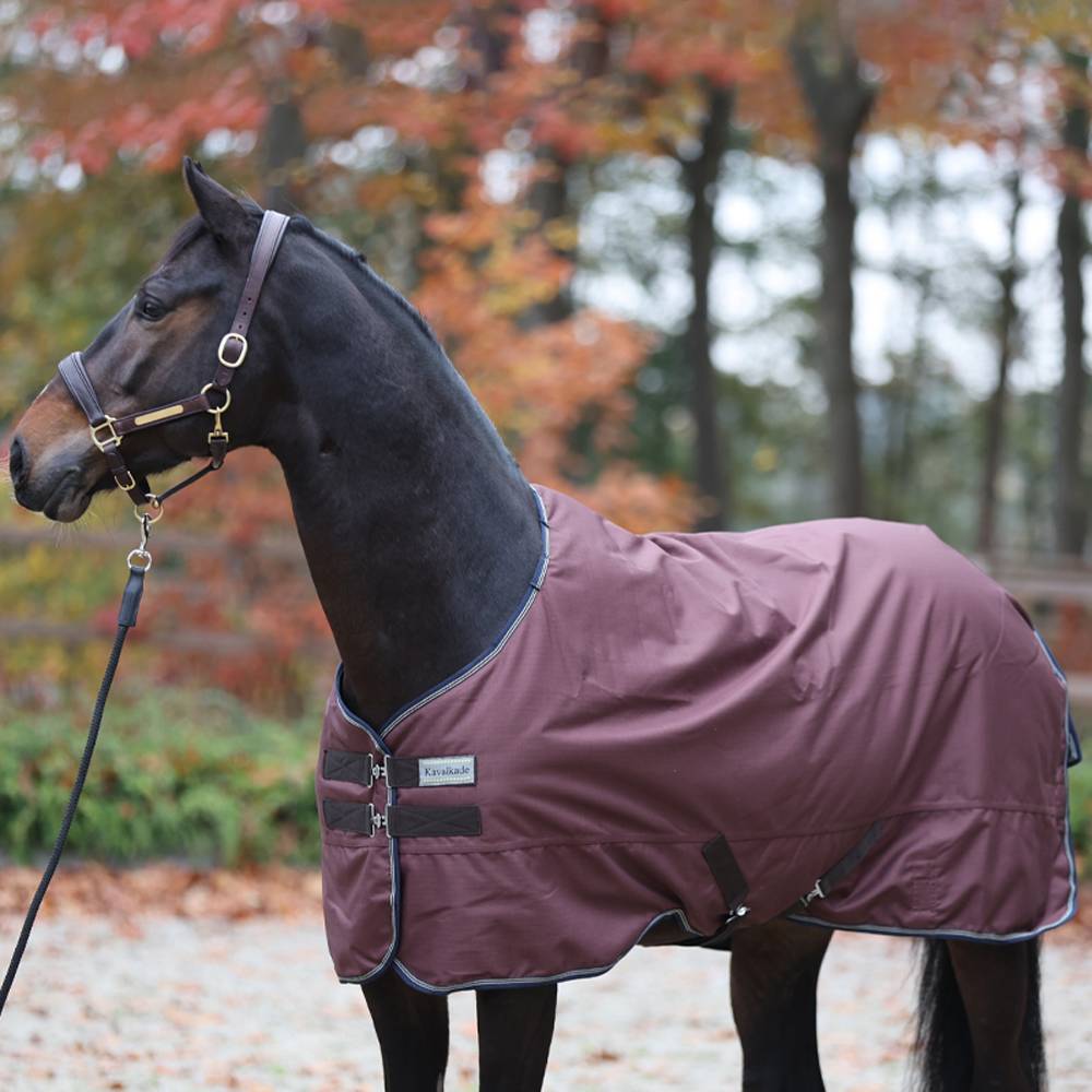 Montreal Turnout Rug