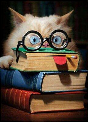 Book Face Cat Graduation Card
