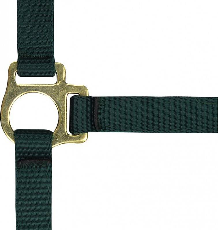 Norton Halter Foal Lead Rope - Vert