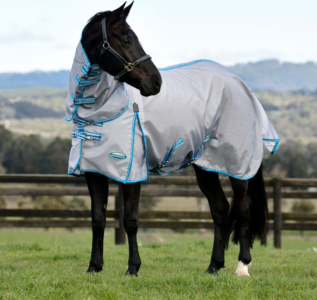 Weatherbeeta Comfitec Hexi Shield Combo Fly Rug 7'3