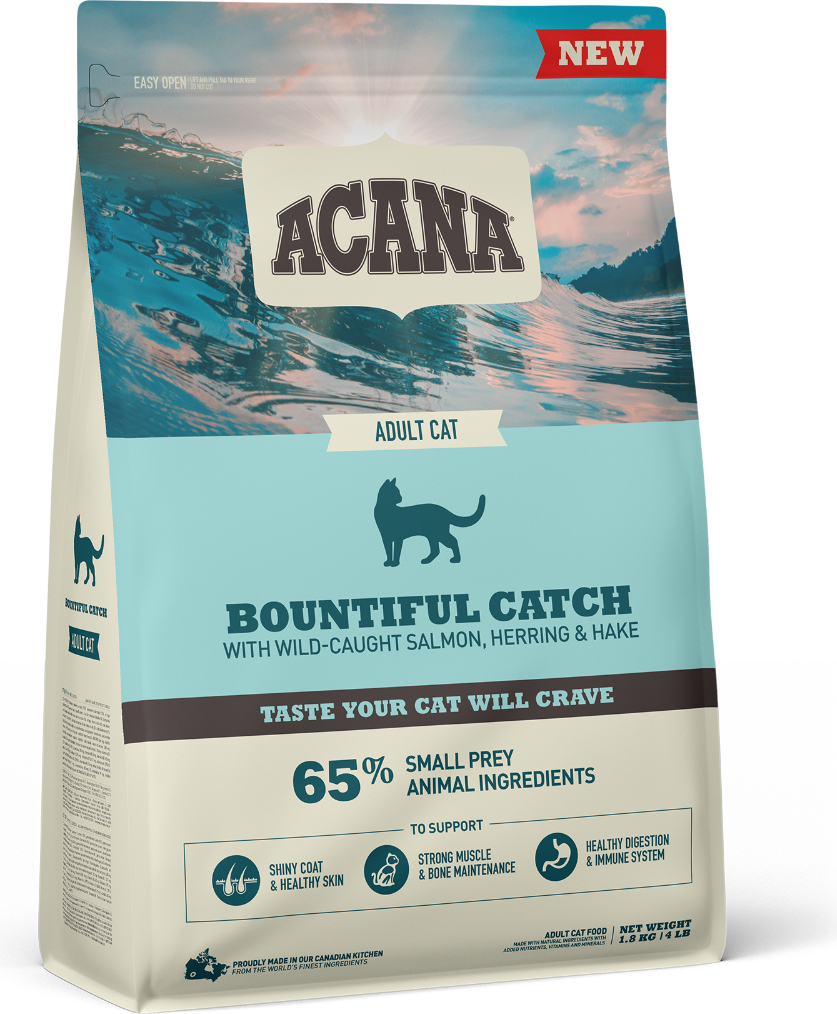Bountiful Catch Cat