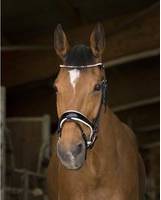 Norton Riding Bridle Pro Bella - Noir