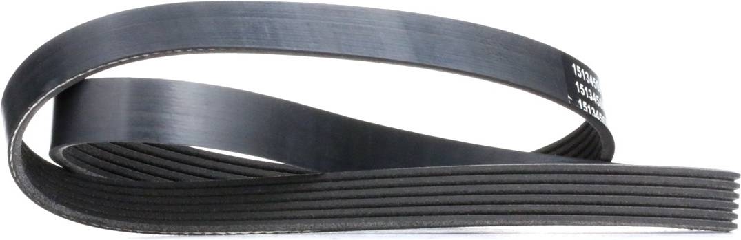 Ridex V-Ribbed Belt 305P0396