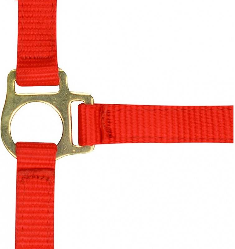 Norton Halter Foal Lead Rope - Rouge