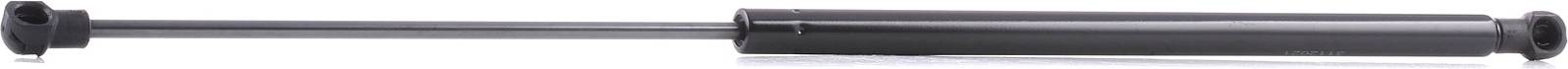 Ridex Gas Spring Rear Window
