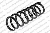 Coil Springs Rear Driver Passenger Side