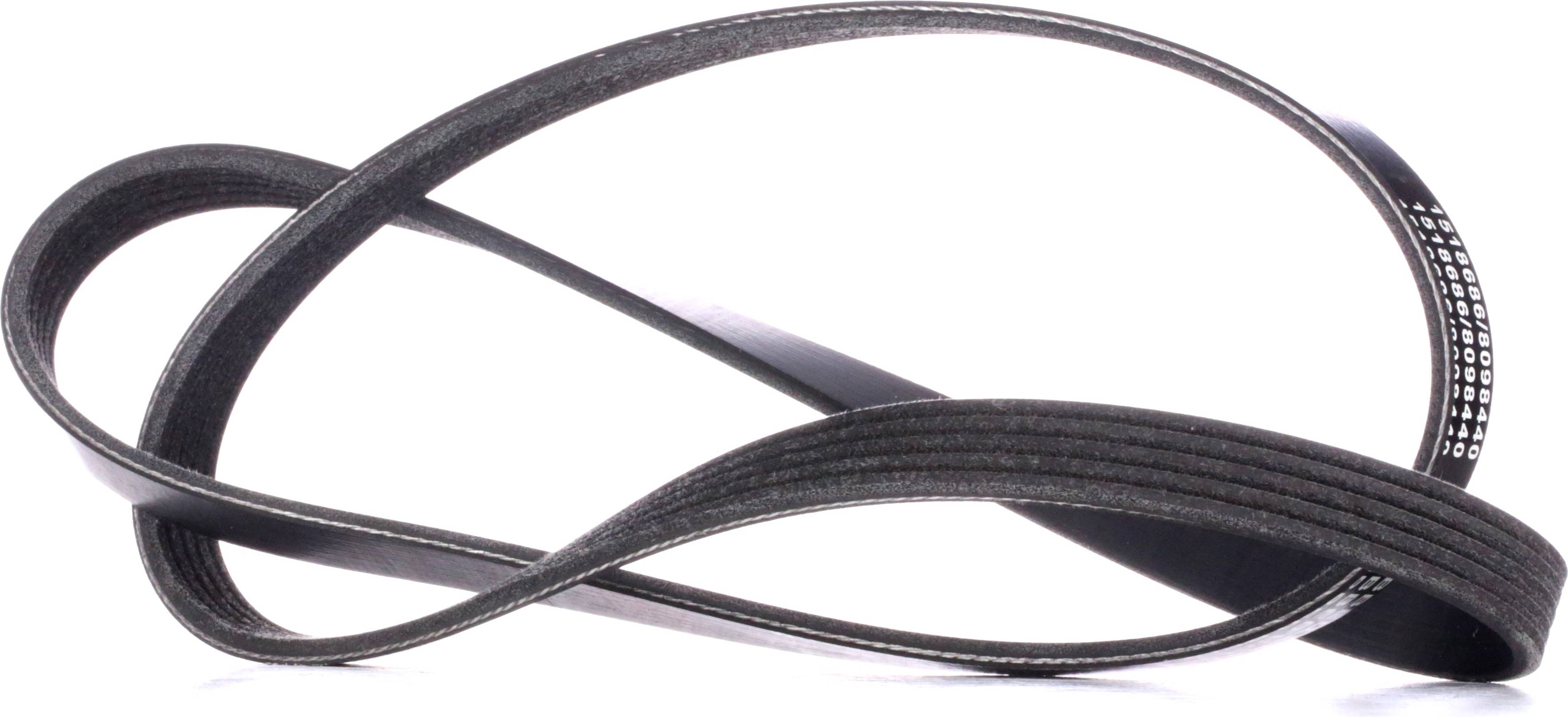 Ridex 305P0039 V-Ribbed Belt