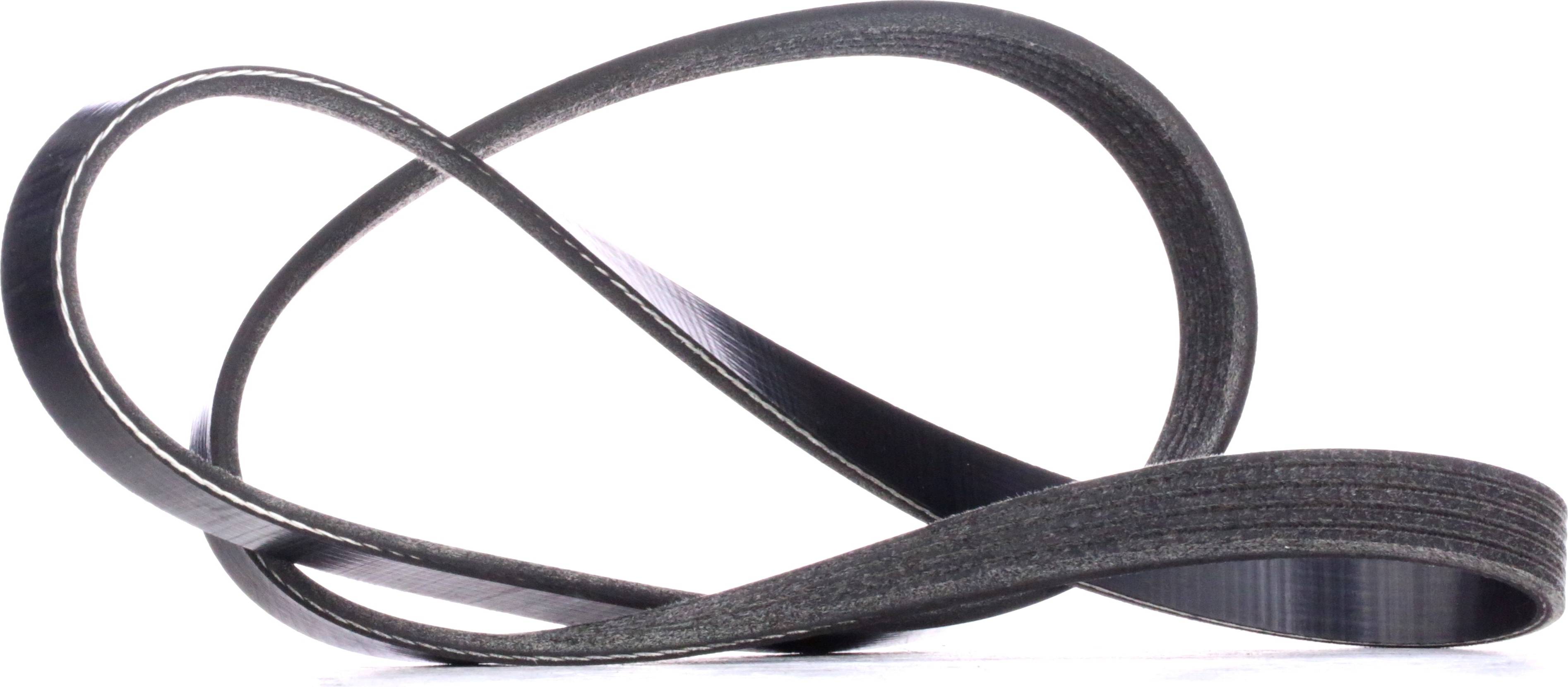 Ridex V-Ribbed Belt 305B0258