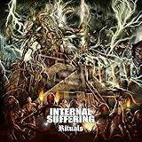 Internal Suffering Rituals Metal Music CD (CD)