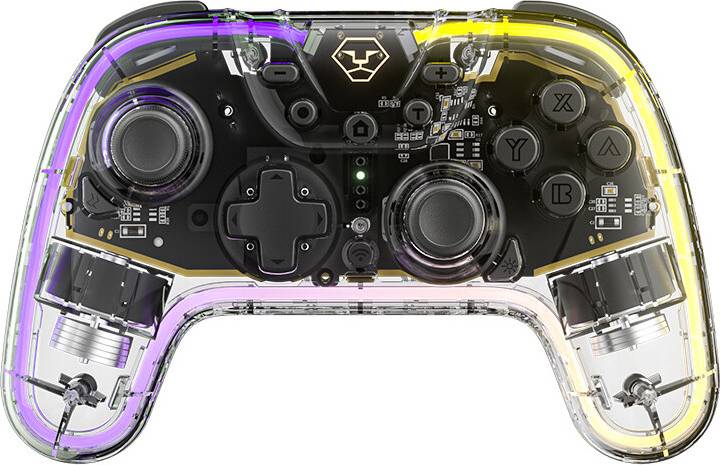 Switch Pro Controller - Transparent
