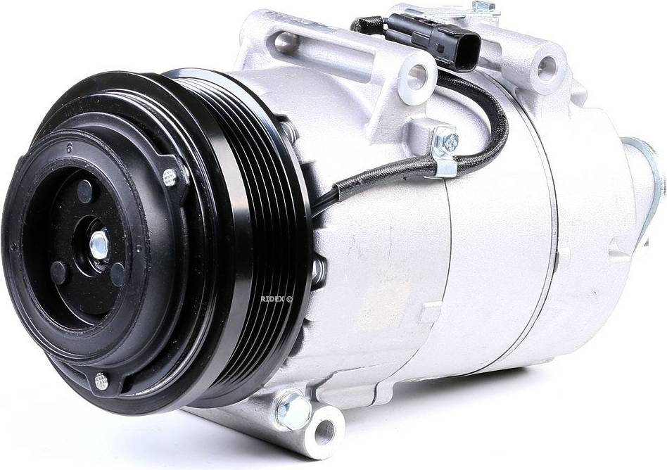 R134a Ridex AC Compressor PAG 46 R134a R134a