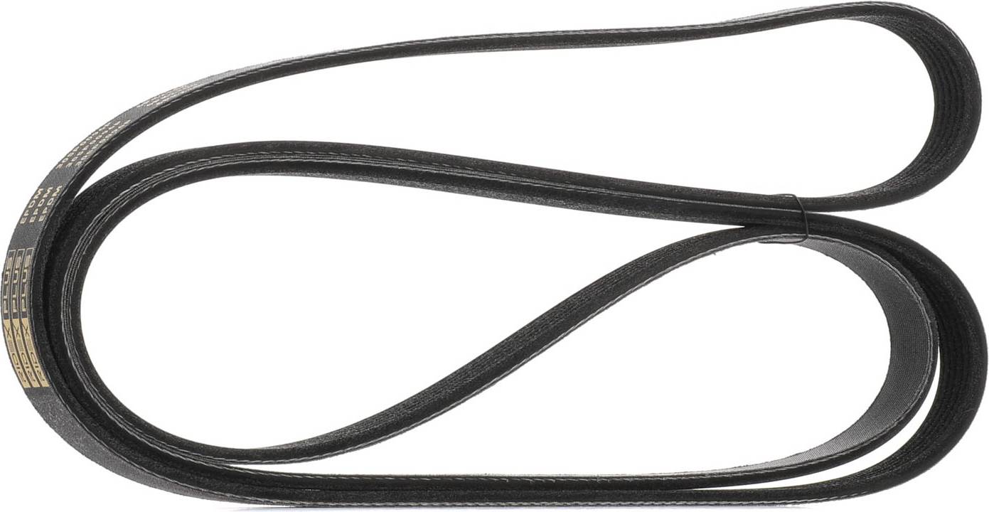 Ridex Plus V-Ribbed Belt 305P0096P