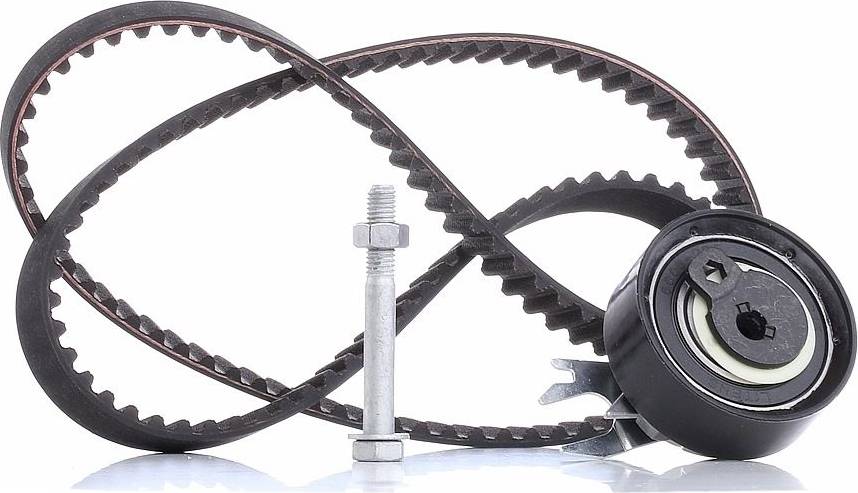 INA Timing Belt Kit 530016610 Set