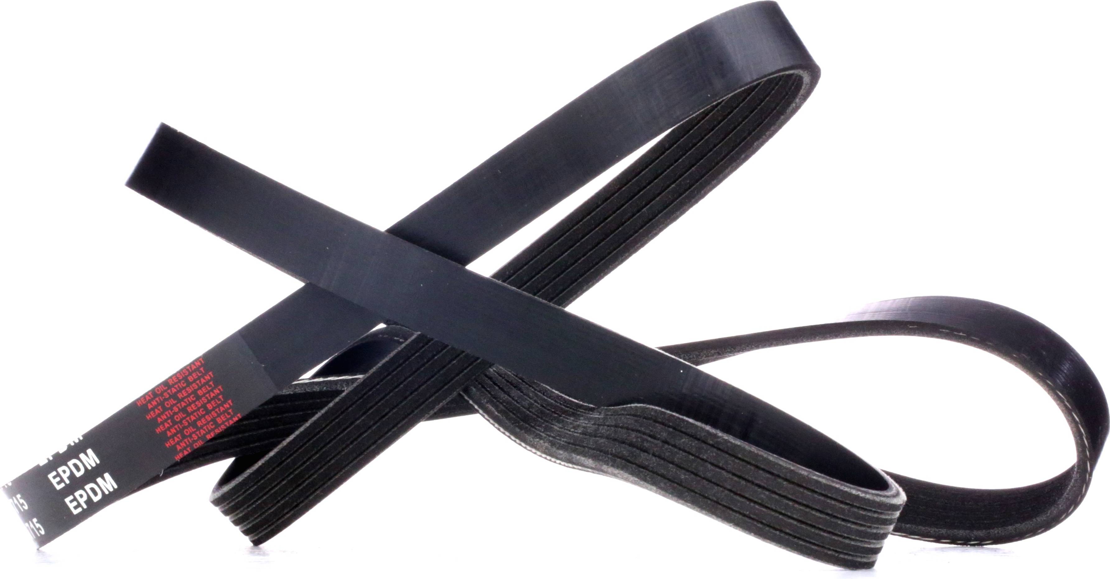 Ridex 305P0321 V-Ribbed Belt
