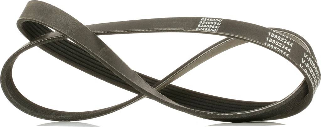 Ridex Plus V-Ribbed Belt 305P0170P