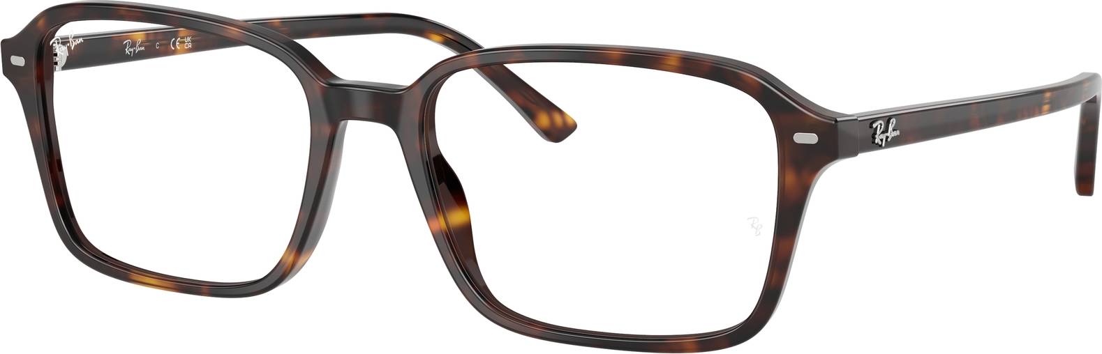 Ray-Ban RX5431 Raimond 2012 54mm Briller