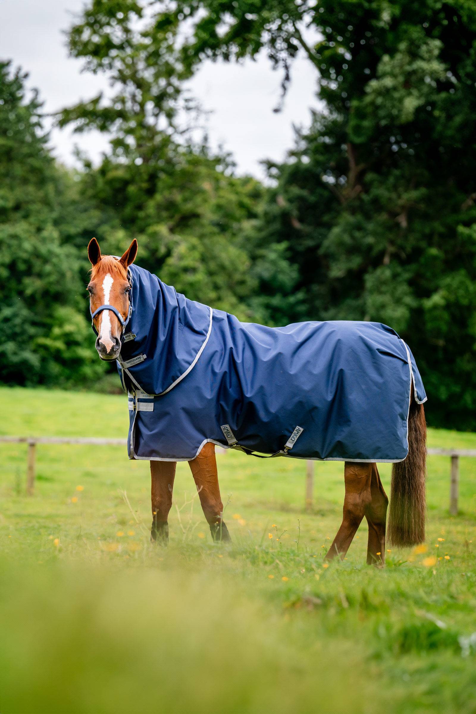 Horseware Amigo Ripstop 900 Plus