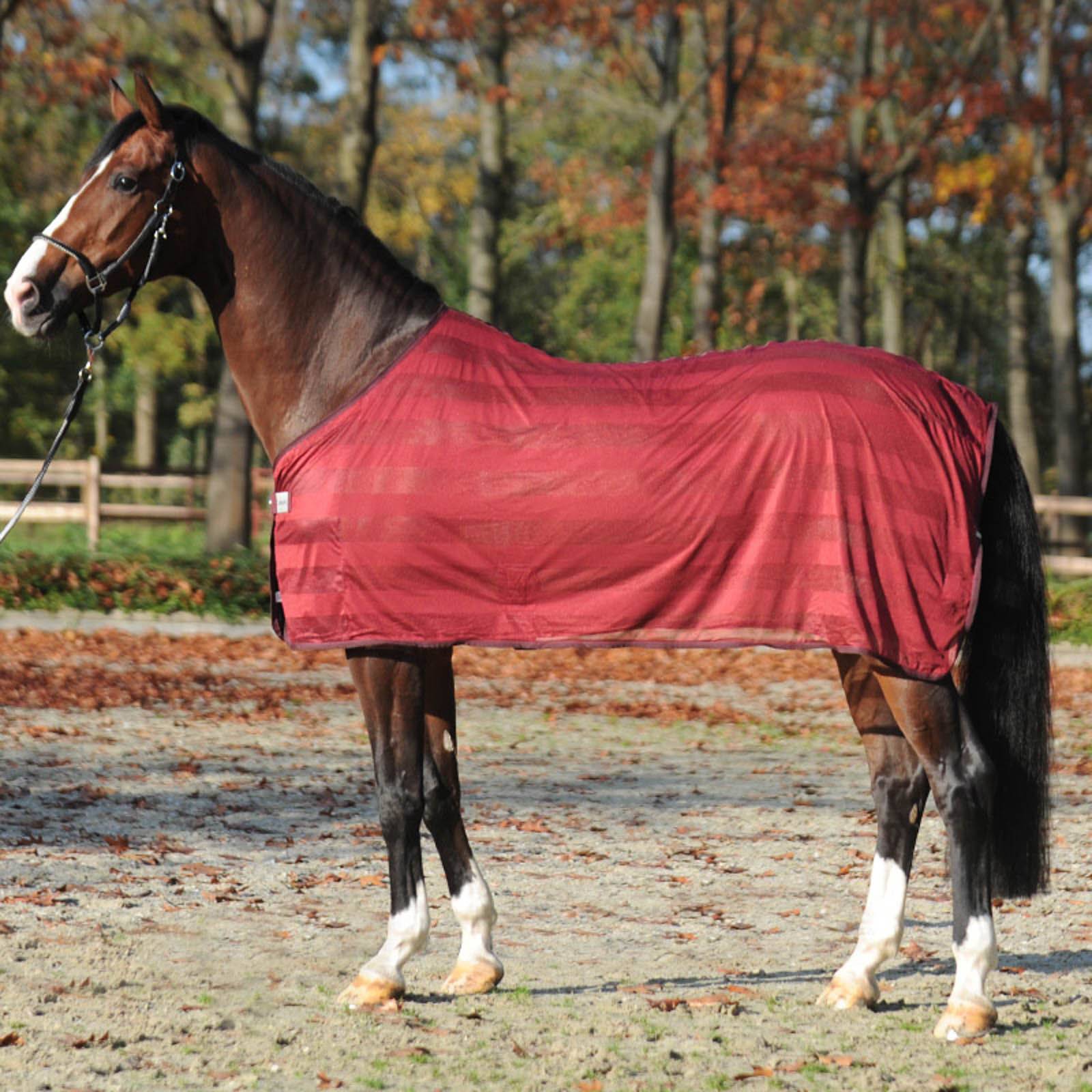 Kavalkade Stripe Fly Rug, Dark Red