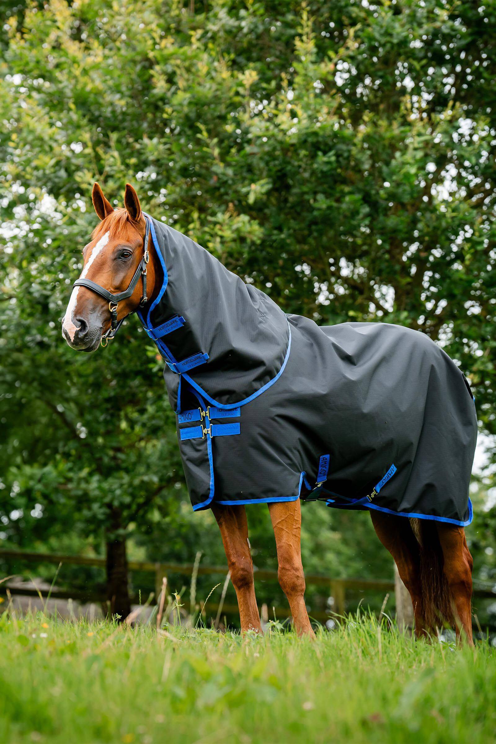 Horseware Amigo Ripstop 900 Plus