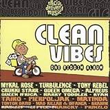Various Reggae Clean Vibes One Riddim Album (CD)