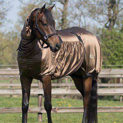 Eczema Combo Fly Rug - Brown