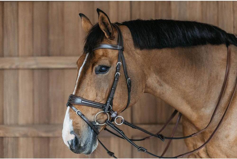 Dyon Riding Bridle Working Motion - Marron