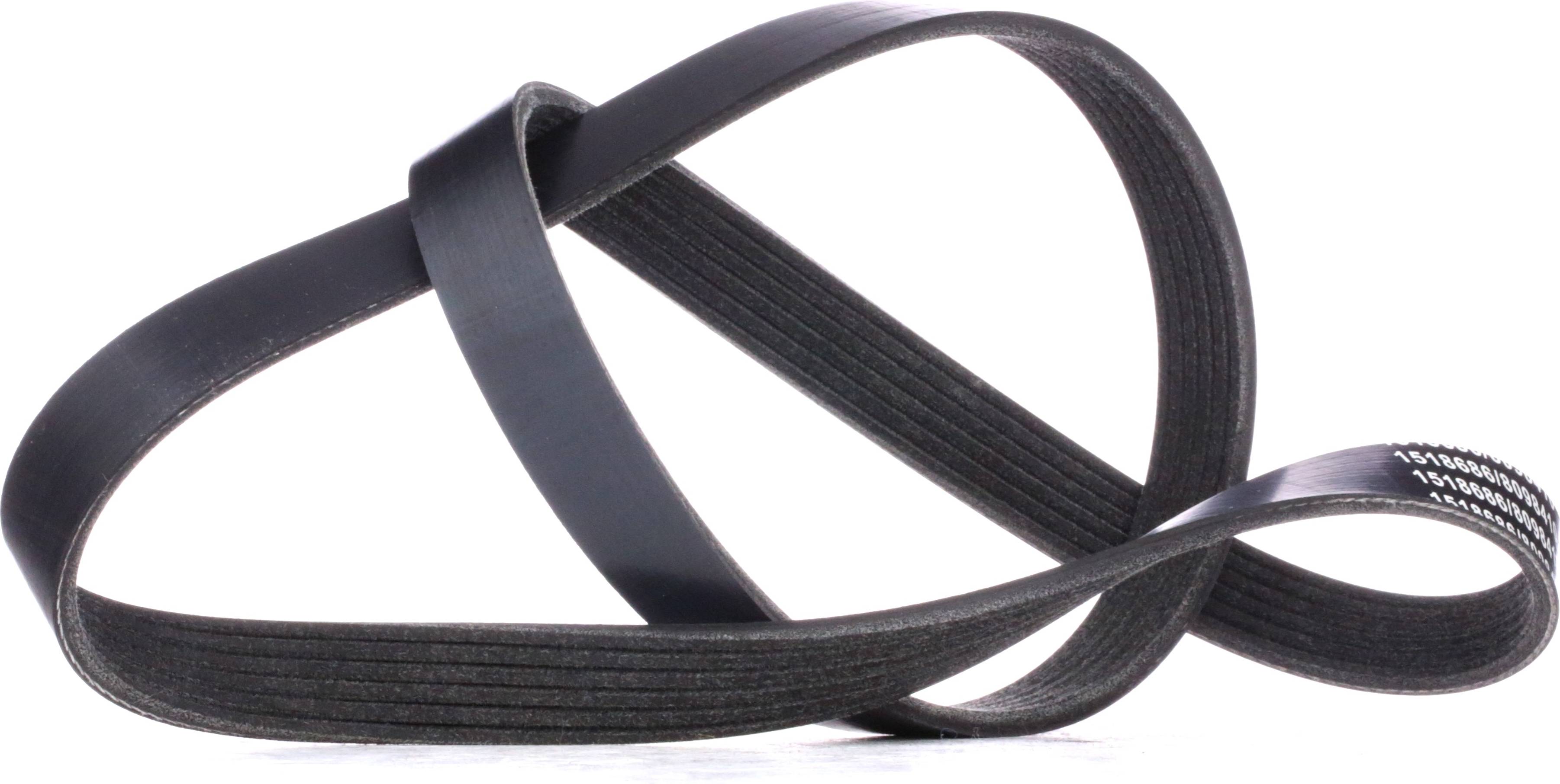 Ridex V-Ribbed Belt 305P0064