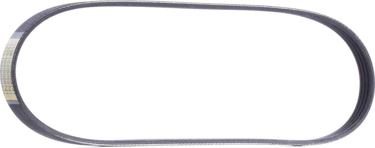 Ridex V-Ribbed Belt 305P0011