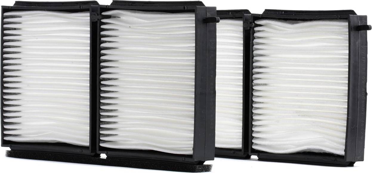 Ridex 424I0101 Pollen Particulate Filter