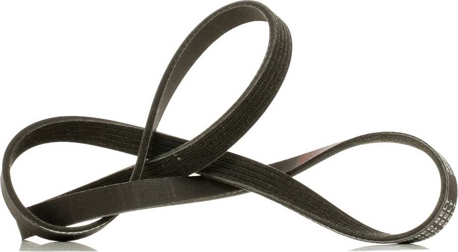 Ridex Plus V-Ribbed Belt 305P0156P